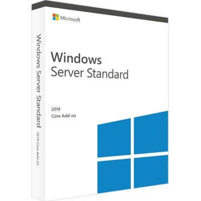 Microsoft Windows Server Standard 2019 P73-07807